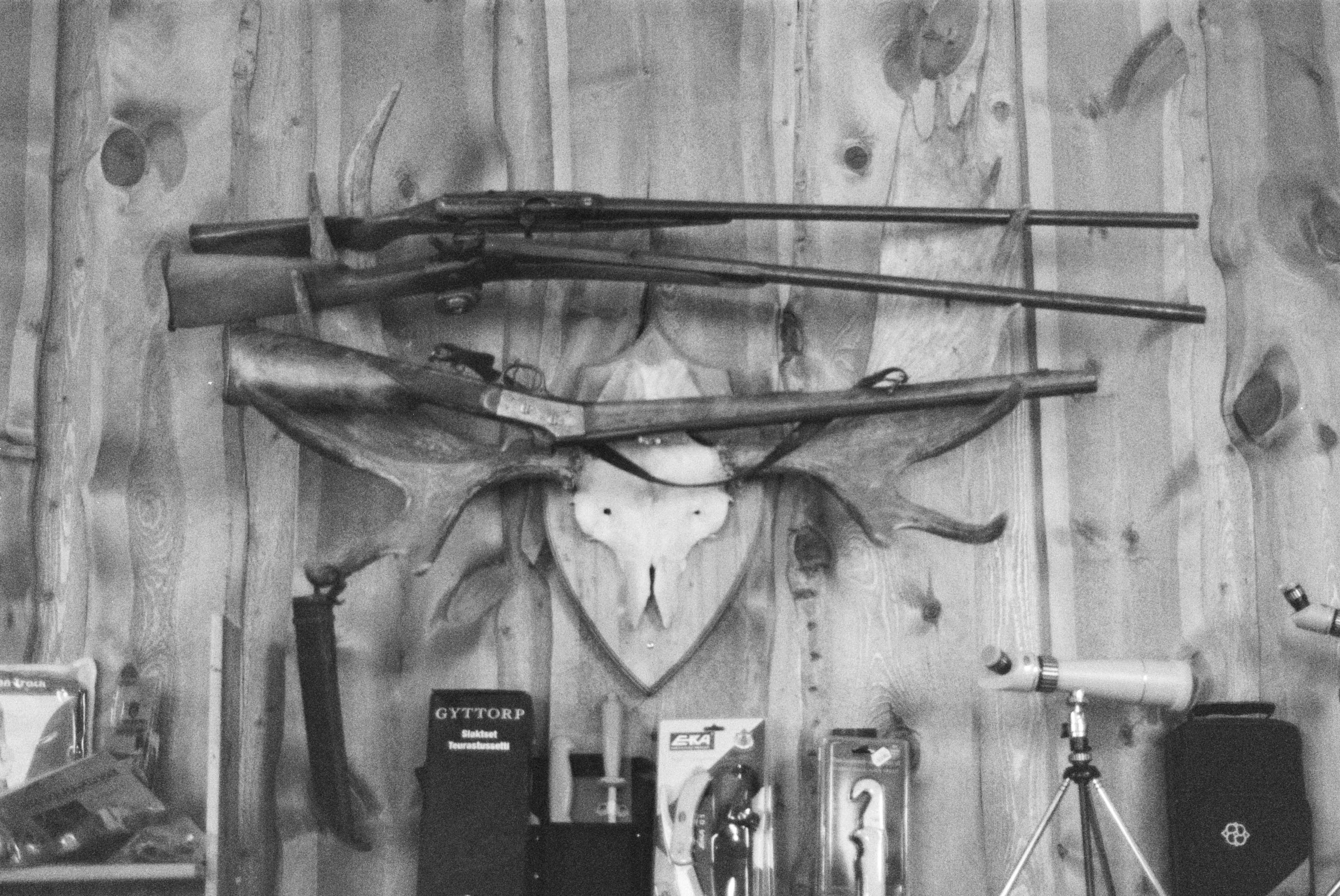 Barlett image 6